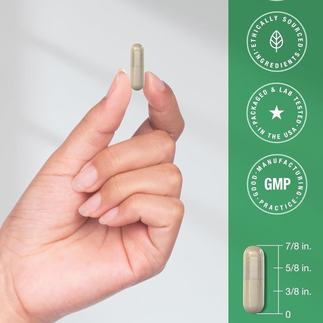 ASHWAGANDHA SUPLEMENTO ANTI ESTRES